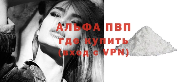 шишки Белоозёрский