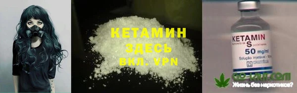 шишки Белоозёрский