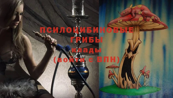 гашишное масло Богданович