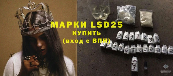 ГАЛЛЮЦИНОГЕННЫЕ ГРИБЫ Белокуриха