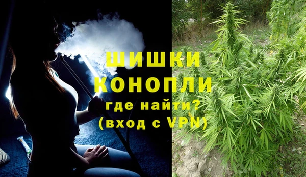 ГАЛЛЮЦИНОГЕННЫЕ ГРИБЫ Белокуриха