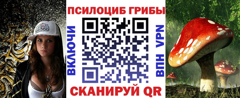 Галлюциногенные грибы Psilocybine cubensis  наркошоп  Борисоглебск 